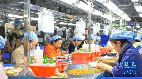 產(chǎn)業(yè)引領(lǐng) 繪就強(qiáng)村富民新畫卷——廣播電視節(jié)目制作經(jīng)營的鄉(xiāng)村賦能之路